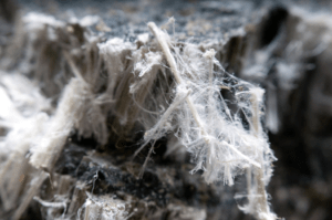 a microscopic view of asbestos fibers