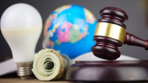 Do Environmental Lawyers Go to Court?