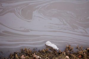 PFOA Water Contamination – Westhampton, NY PFOA Water Contamination - Westhampton, NY