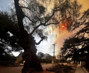 Ben Crump Files First Wrongful Death Suit Over LA Wildfires Ben Crump Files First Wrongful Death Suit Over Los Angeles Wildfires