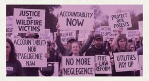 wildfire settlement attorney